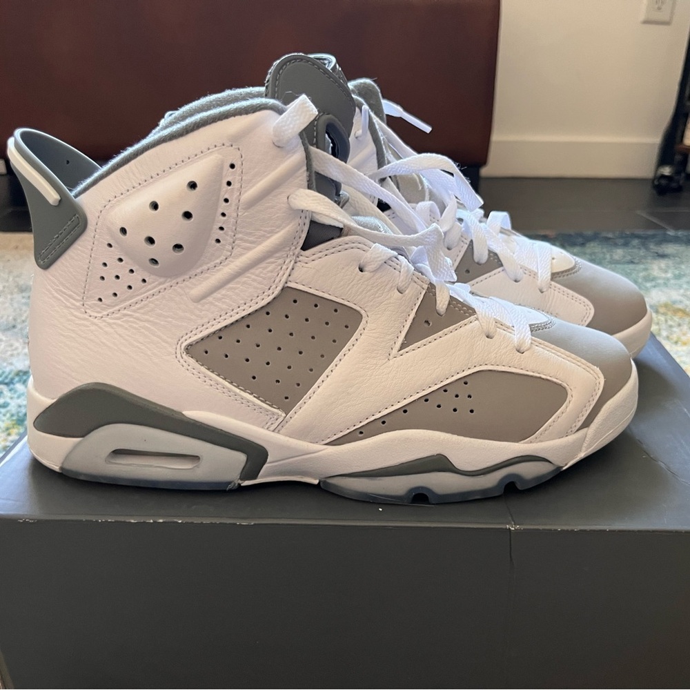 Air jordan 6 retro cool grey.